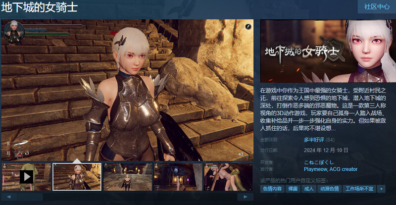 ST12月新作【爆款ACT/3D作品/全动态】地下城的女骑士（地下城の女騎士）STEAM官中步兵【3.40G】